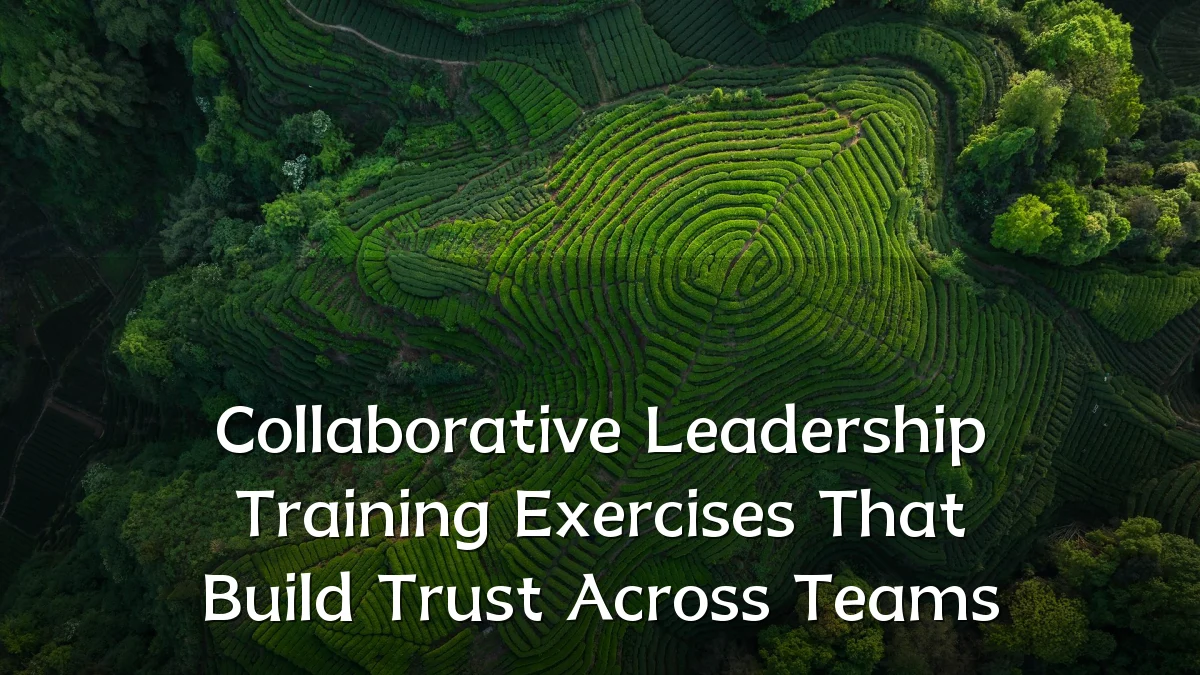 Collaborative Leadership Training Exercises That Build Trust Across Teams