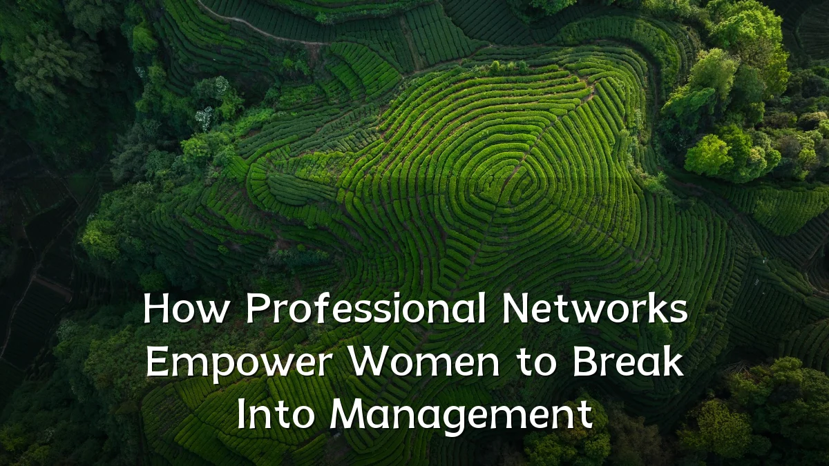 How Professional Networks Empower Women to Break Into Management
