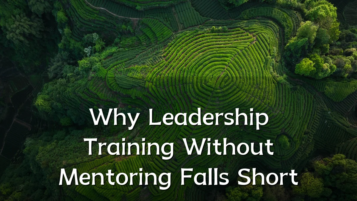 Why Leadership Training Without Mentoring Falls Short