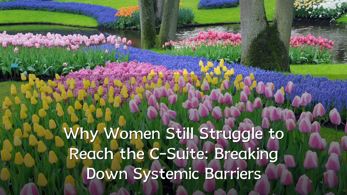Why Women Still Struggle to Reach the C-Suite: Breaking Down Systemic Barriers
