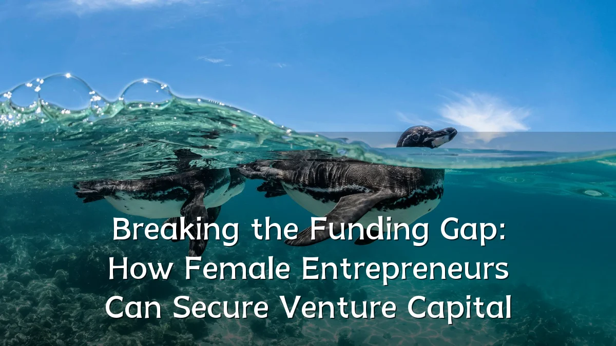 Breaking the Funding Gap: How Female Entrepreneurs Can Secure Venture Capital