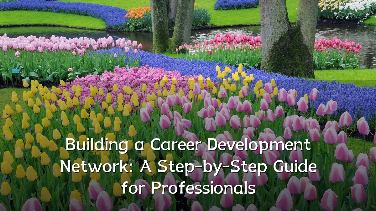 Building a Career Development Network: A Step-by-Step Guide for Professionals