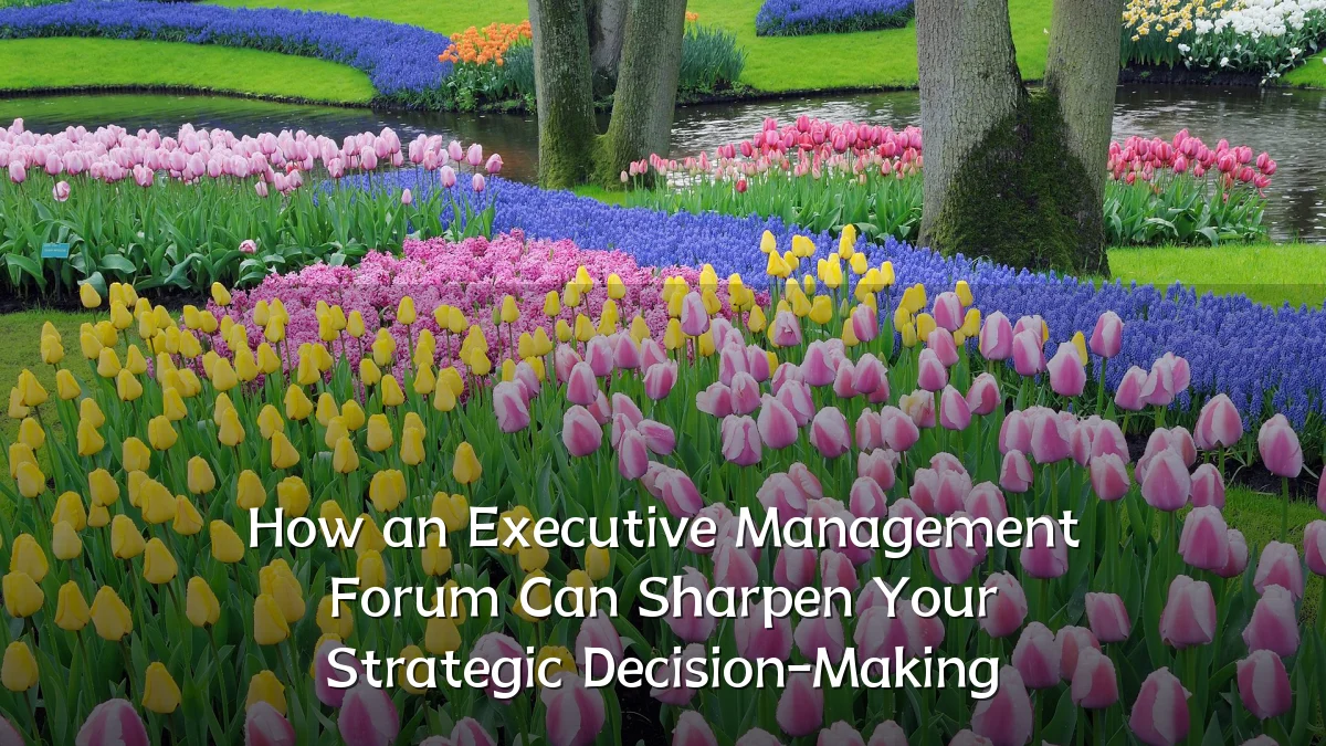 How an Executive Management Forum Can Sharpen Your Strategic Decision-Making