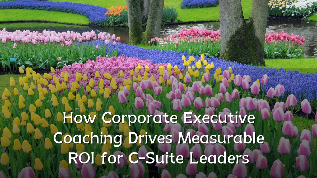 How Corporate Executive Coaching Drives Measurable ROI for C-Suite Leaders