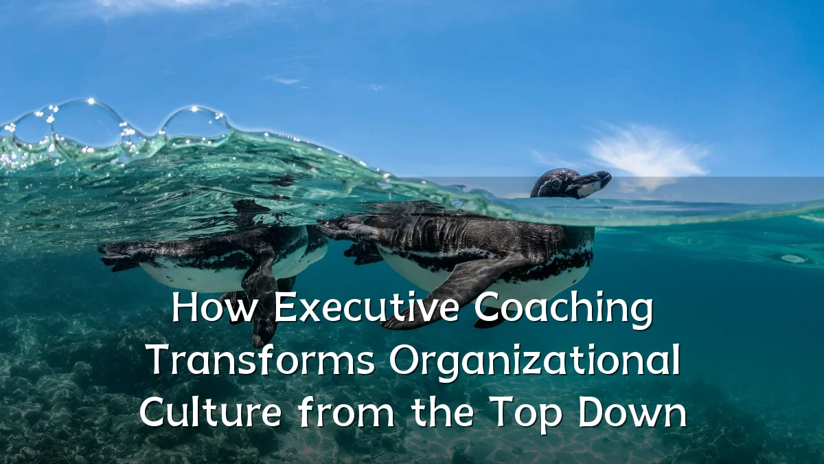 How Executive Coaching Transforms Organizational Culture from the Top Down