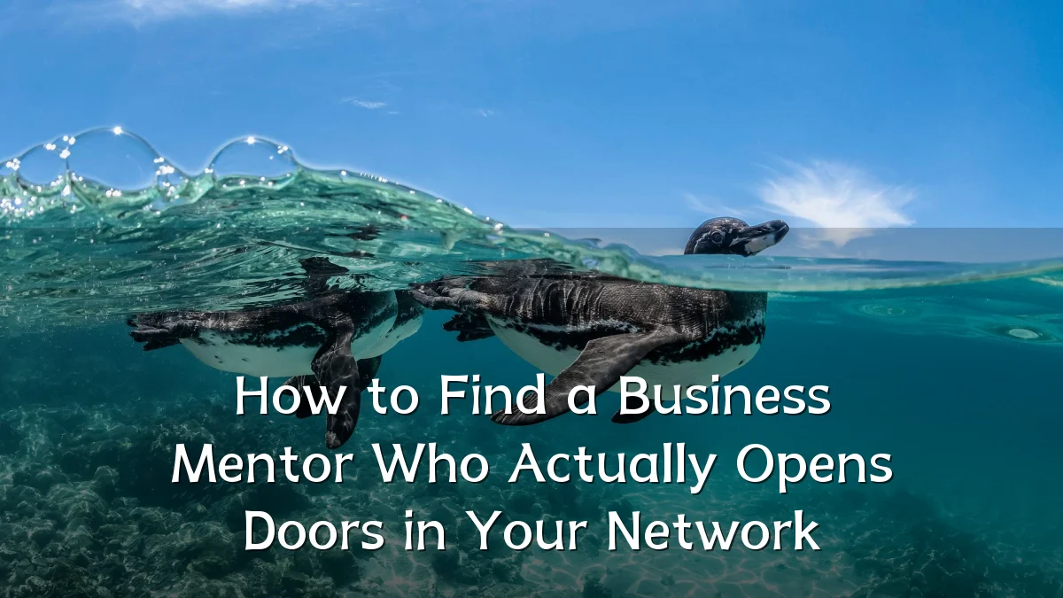 How to Find a Business Mentor Who Actually Opens Doors in Your Network