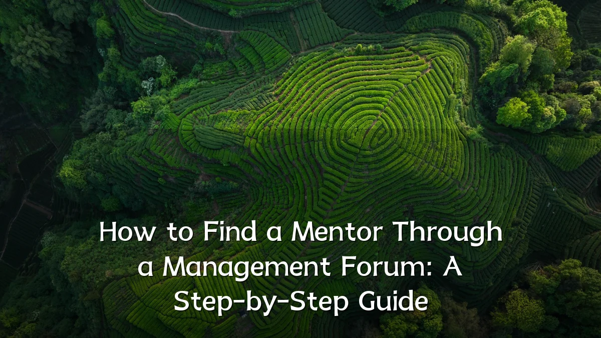 How to Find a Mentor Through a Management Forum: A Step-by-Step Guide