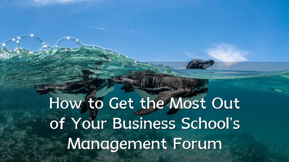 How to Get the Most Out of Your Business School's Management Forum