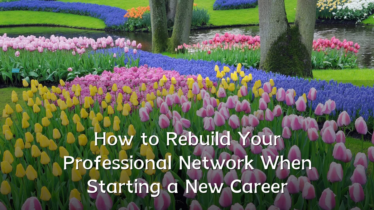 How to Rebuild Your Professional Network When Starting a New Career