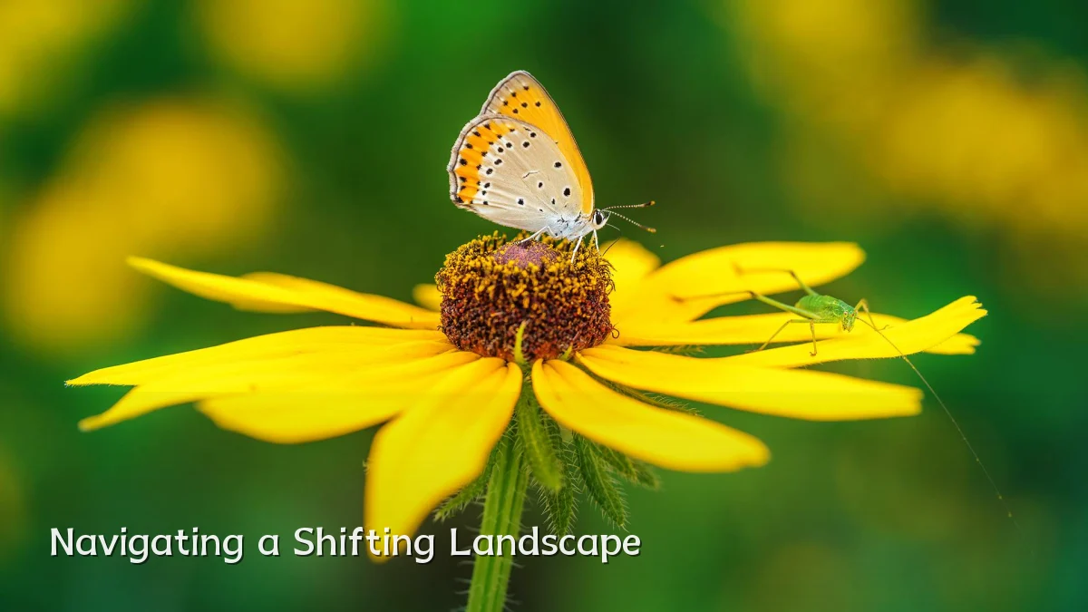 Navigating a Shifting Landscape