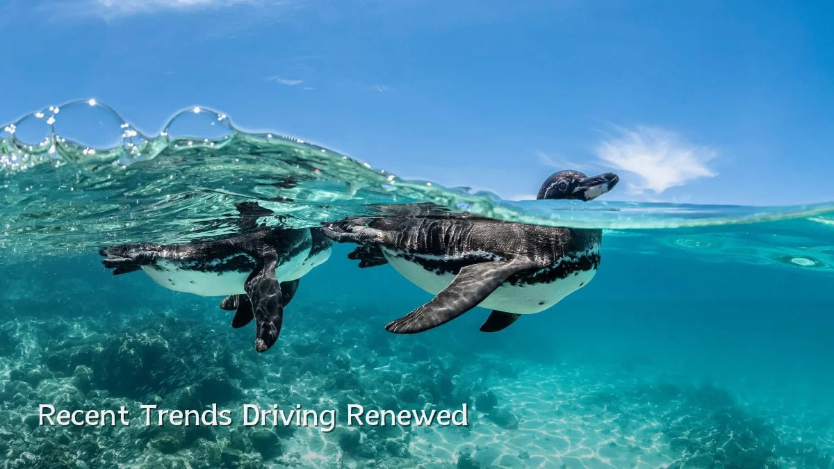Recent Trends Driving Renewed