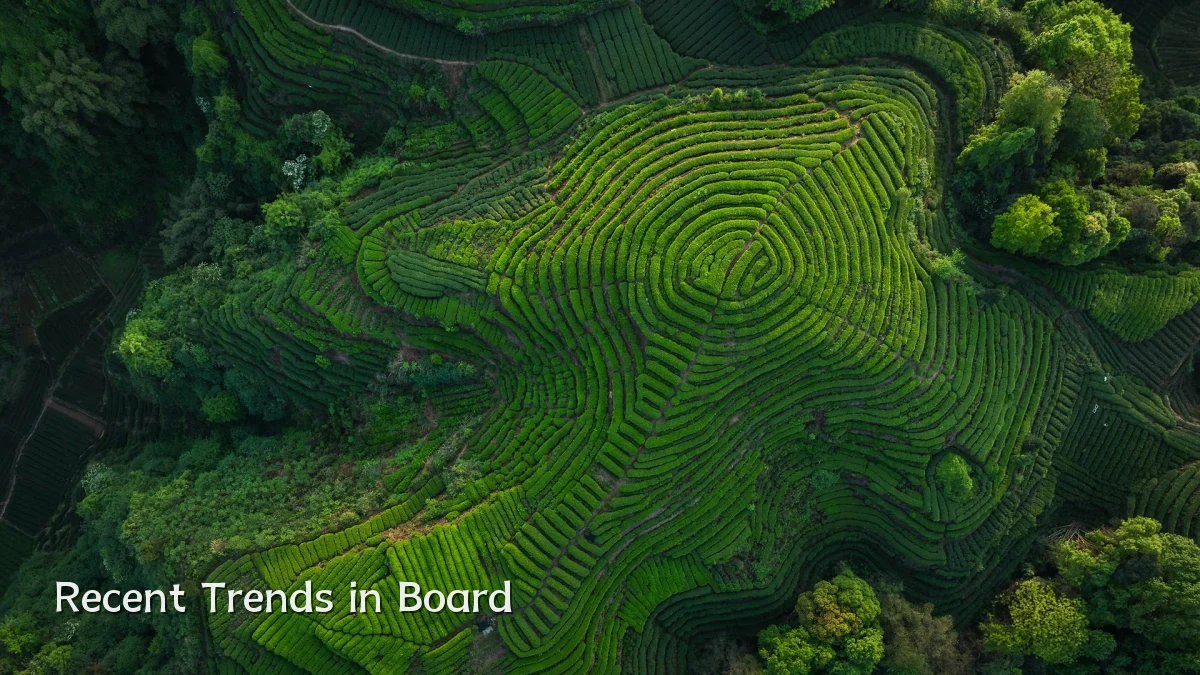 Recent Trends in Board