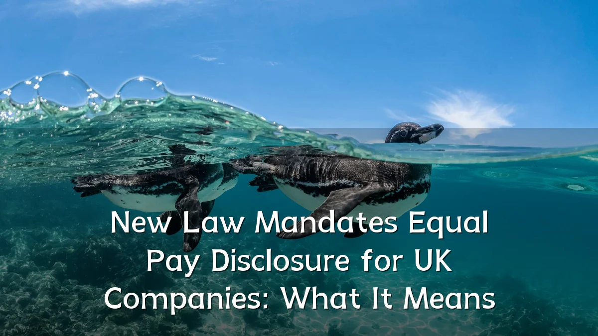 New Law Mandates Equal Pay Disclosure for UK Companies: What It Means