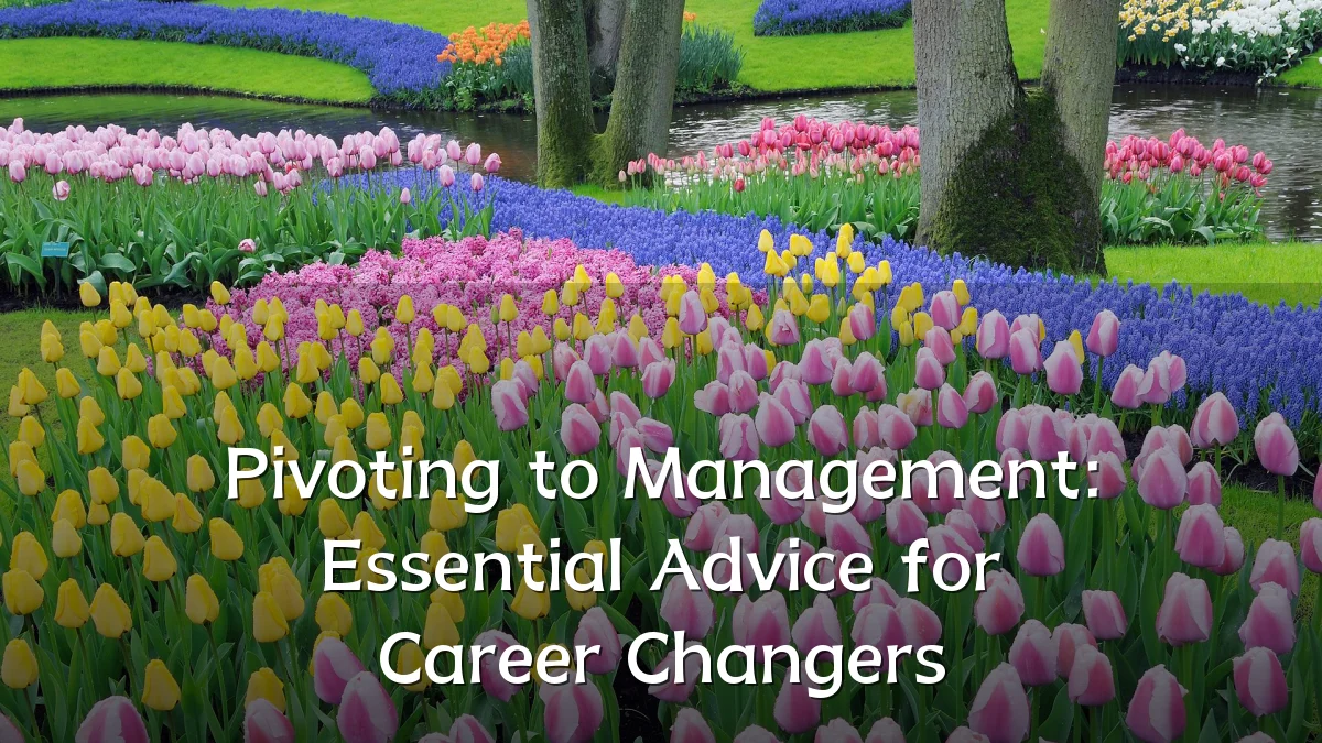 Pivoting to Management: Essential Advice for Career Changers