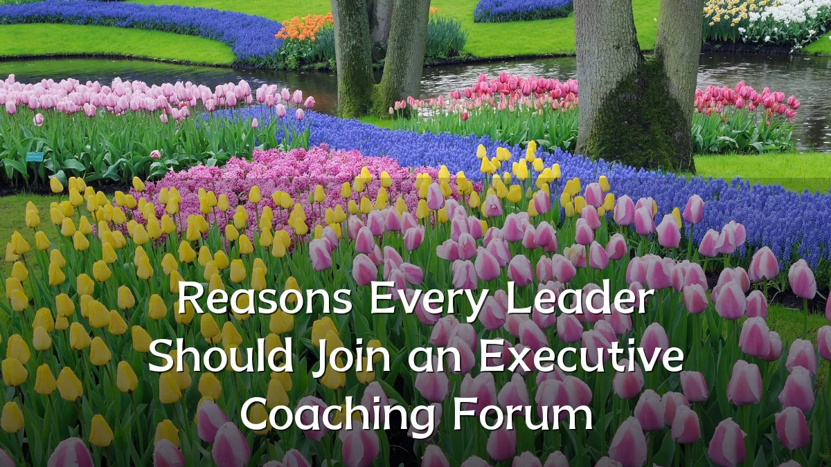Reasons Every Leader Should Join an Executive Coaching Forum