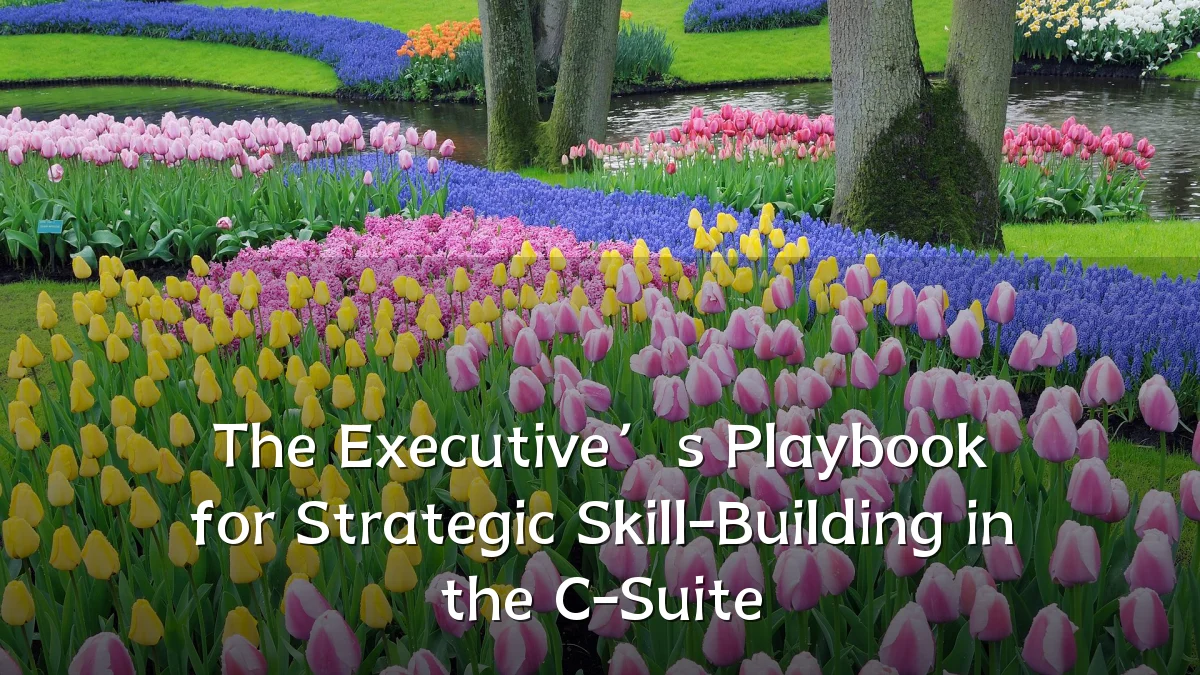 The Executive’s Playbook for Strategic Skill-Building in the C-Suite