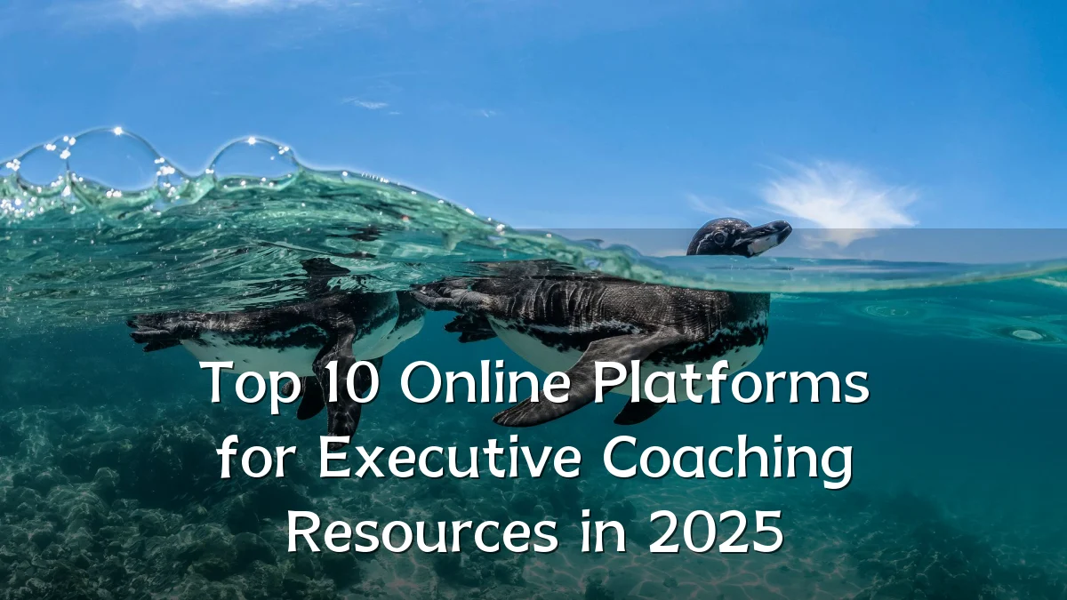 Top 10 Online Platforms for Executive Coaching Resources in 2025