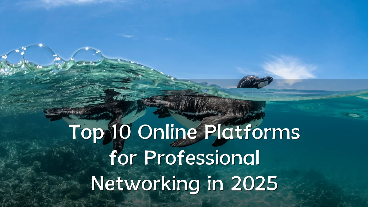 Top 10 Online Platforms for Professional Networking in 2025