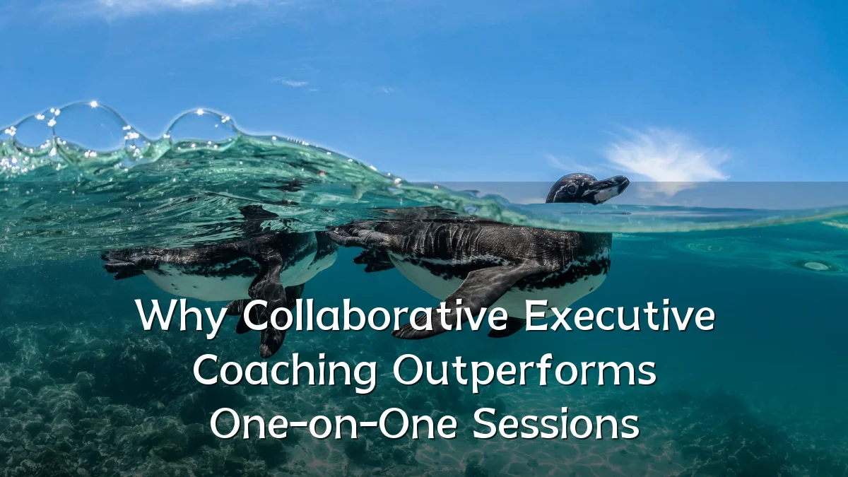 Why Collaborative Executive Coaching Outperforms One-on-One Sessions