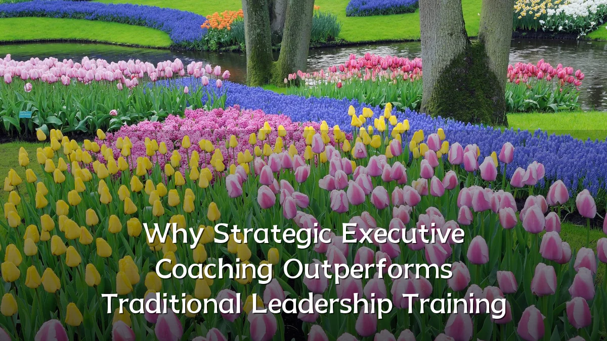 Why Strategic Executive Coaching Outperforms Traditional Leadership Training