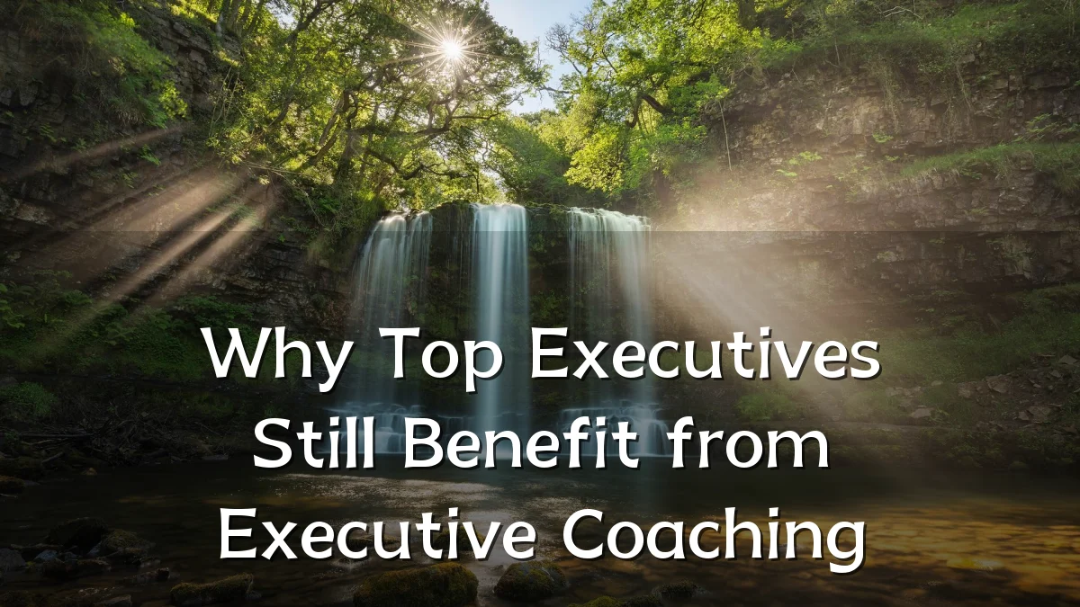 Why Top Executives Still Benefit from Executive Coaching